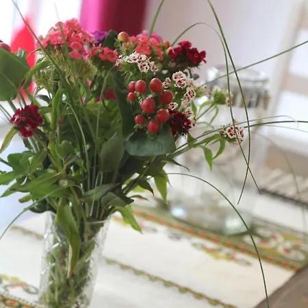 Nyaraló Ferienhaus-rotdorn-haus-nord *